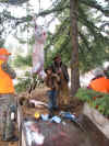 Elk Hunt 2009 014.jpg (301462 bytes)