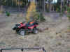 Pats Elk-quad.JPG (85186 bytes)