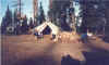 camp2-1992.jpg (44759 bytes)