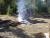 stump in fire-1.JPG (264644 bytes)