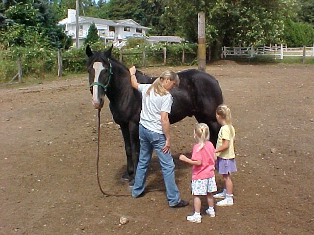 Horseback 1.jpg (75011 bytes)