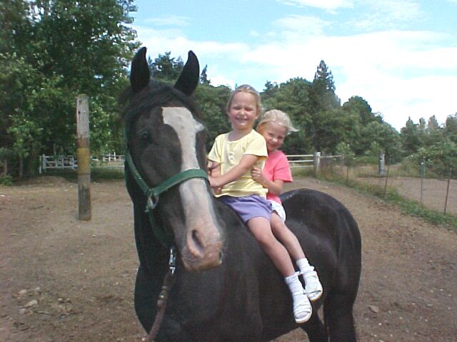 Horseback 3.jpg (55482 bytes)